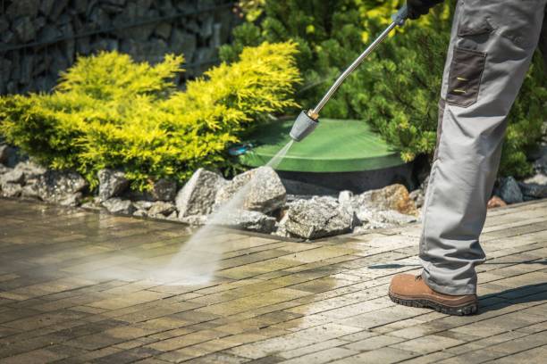 Best Warehouse Cleaning  in Naples Manor, FL