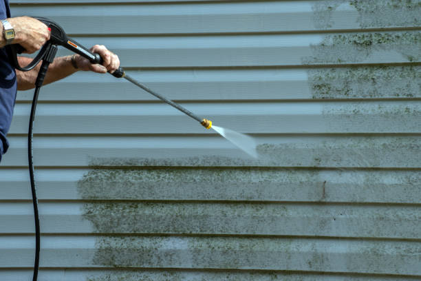 Best Solar Panel Cleaning  in Naples Manor, FL
