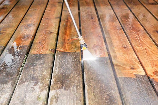 Best Driveway Pressure Washing  in Naples Manor, FL